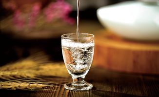 到位白酒 以品質(zhì)為舟，徜徉于小眾市場的匠心航跡